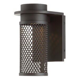 Mesh 1-Light LED Outdoor Sconce