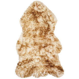Coco Chanel Rugs Wayfair Dax Off White Coco Brown Area Rug