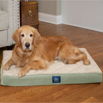 serta perfect sleeper pet bed