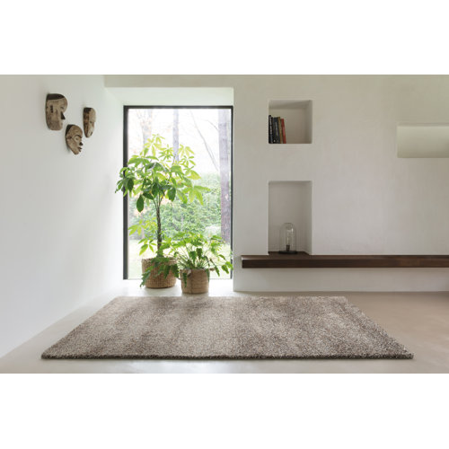 Caines Shaggy Grey Rug Brambly Cottage Rug Size: Rectangle 120 x 170 cm