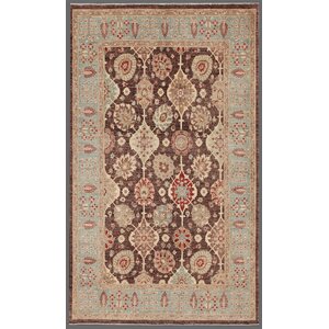 Ferehan Hand-Knotted Brown Area Rug