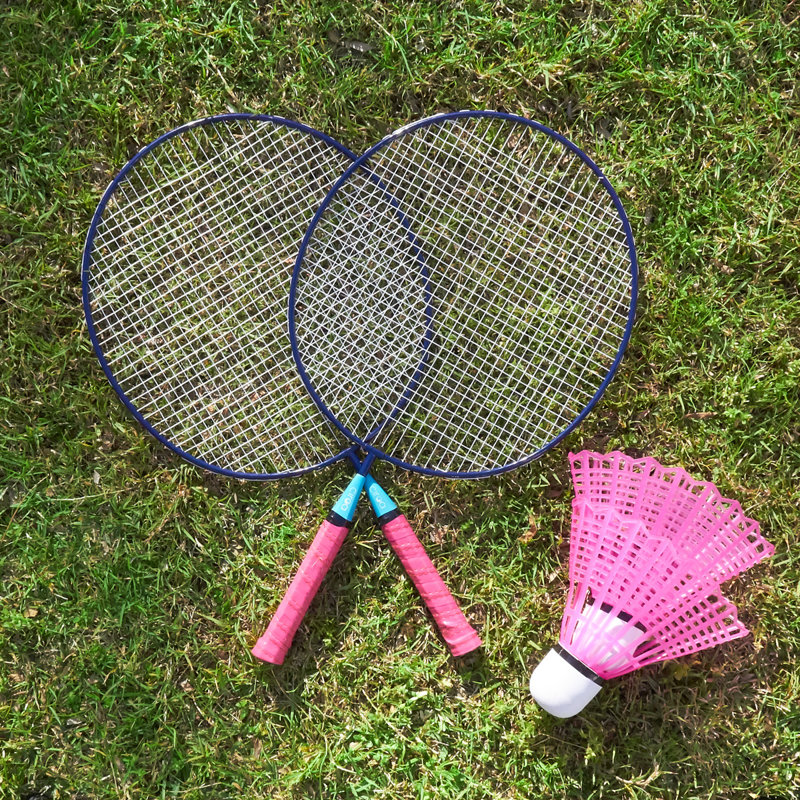 Ciroa Giant Badminton Set - Pink & Blue & Reviews | Wayfair.ca