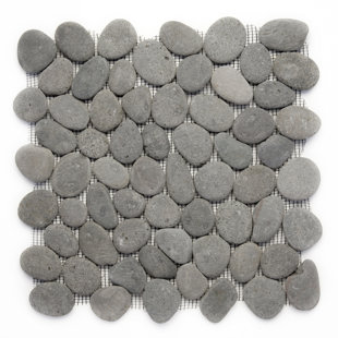 River Rock Shower Tile Wayfair Decorative Random Sized Natural Stone Pebble Tile In River Gray