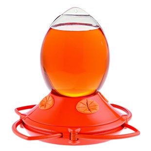 Baltimore Orioles Feeder Wayfair Ca