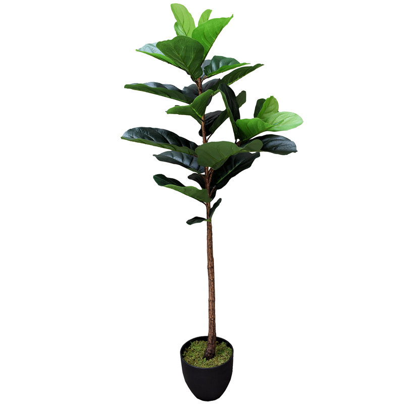 Gracie Oaks Real Touch Silk Fiddle Leaf Fig Tree in Pot & Reviews Wayfair