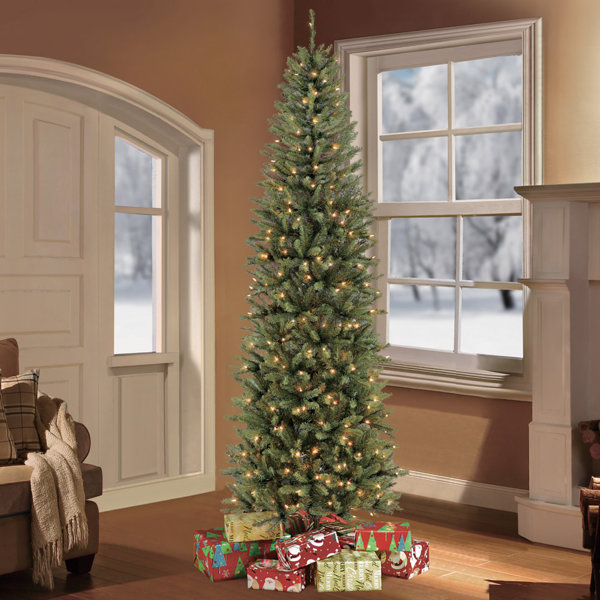 Kingswood Fir Pencil Tree Wayfair