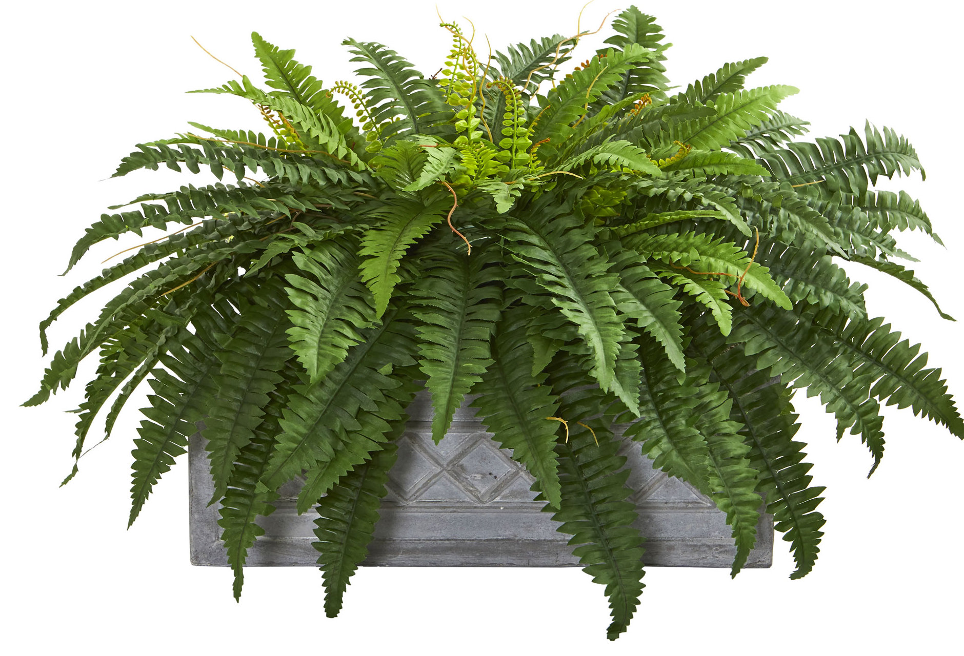 48 Branches Floral Home Designer Boston Fern Silk Fern Plant Great In Hanging Basket Or Pot Green Floral Arranging Craft Supplies Tools Aloli Ru 48 Branches Floral Home Designer Boston Fern Silk Fern Plant Great In Hanging Basket Or Pot Green Floral Arranging Craft Supplies Tools Aloli Ru