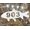 LANDDescapes Fish 1-Line Wall Address Plaque & Reviews | Wayfair