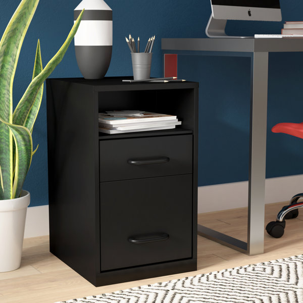 Bourassa 2 Drawer Filing Cabinet by Rebrilliant| @ $209.99