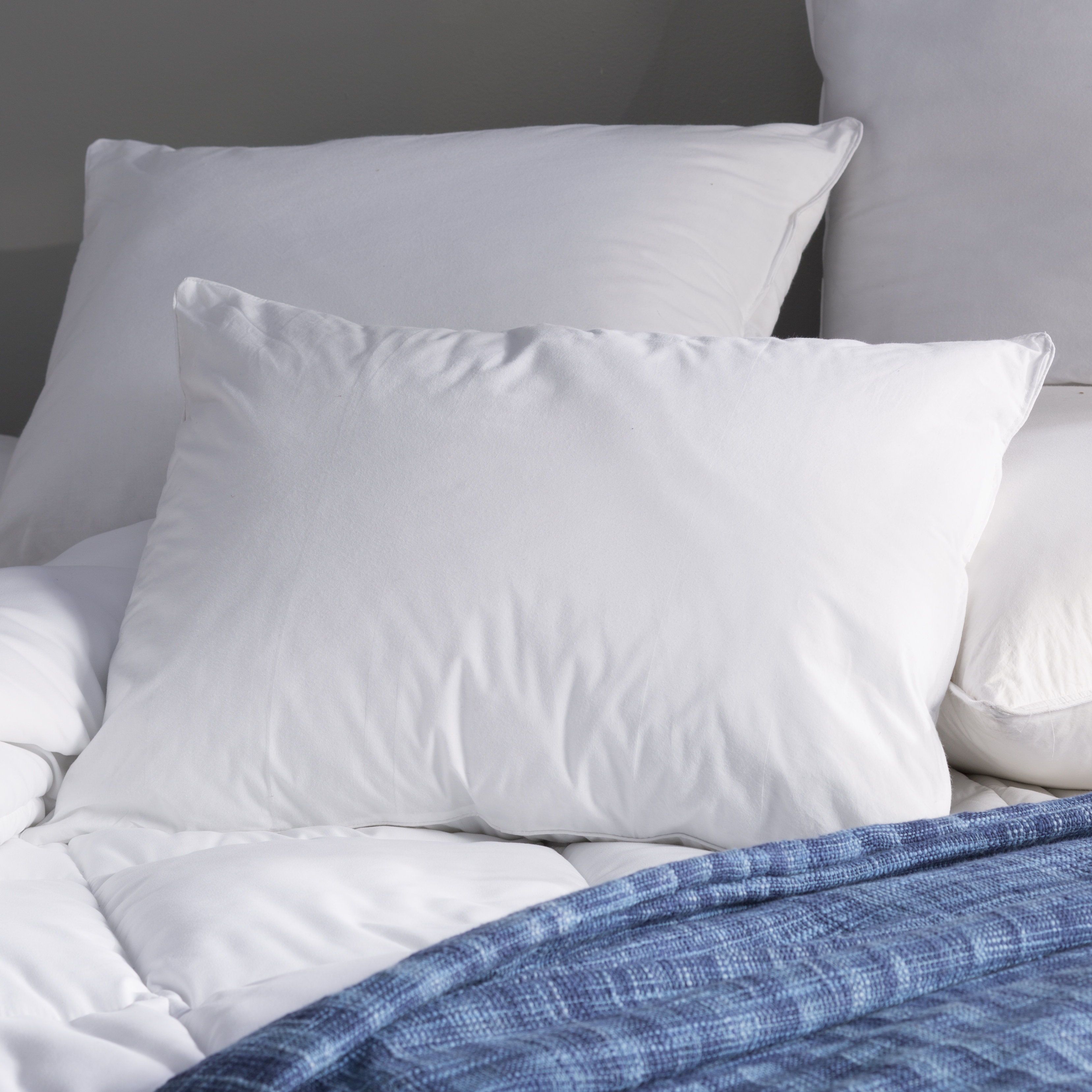 Simmons Beautyrest Allergen Barrier Polyfill Pillow Wayfair