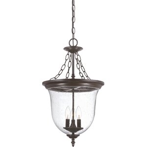 Roquemore 3-Light Outdoor Pendant