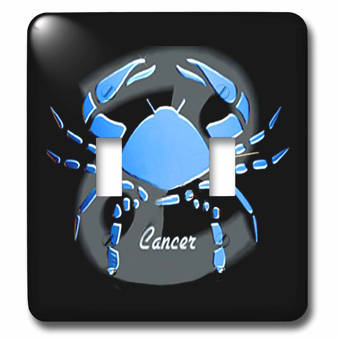 3drose Breast Cancer Awareness 2 Gang Toggle Light Switch Wall Plate Wayfair