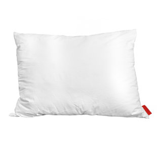 Down Pillows Soft Wayfair