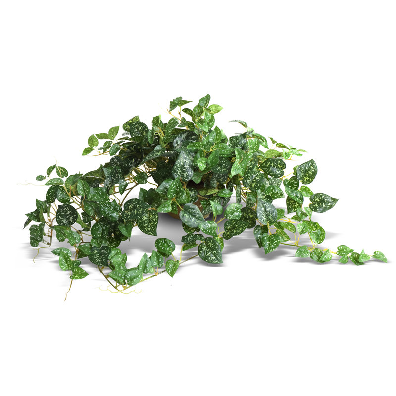 Three Posts Faux Pothos Ivy in Clay Pot & Reviews Wayfair