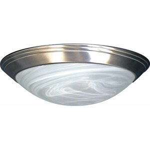 2-Light Ceiling Fixture Flush Mount