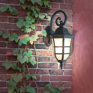 Le Noir 1-Light Outdoor Wall Lantern