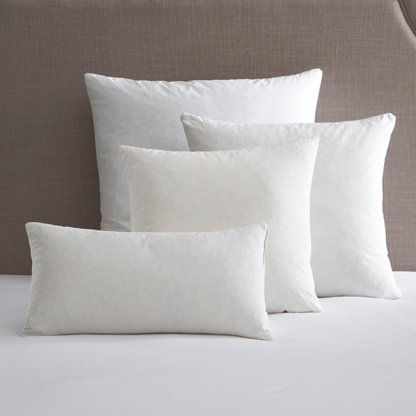 Birch Lane Pillow Insert by Birch Lane™| @ $20.00