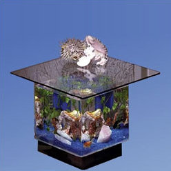 Claire End Table Alanrium Tank by Archie & Oscar