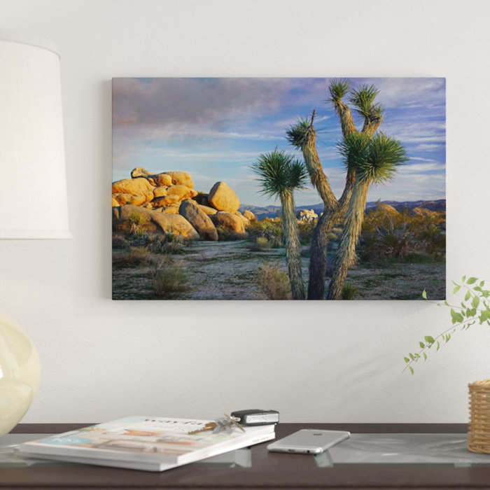 East Urban Home Joshua Tree And Boulders Joshua Tree National