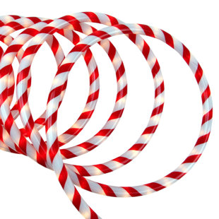 Candy Cane Lights Outdoor Wayfair Candy Cane Rope Light