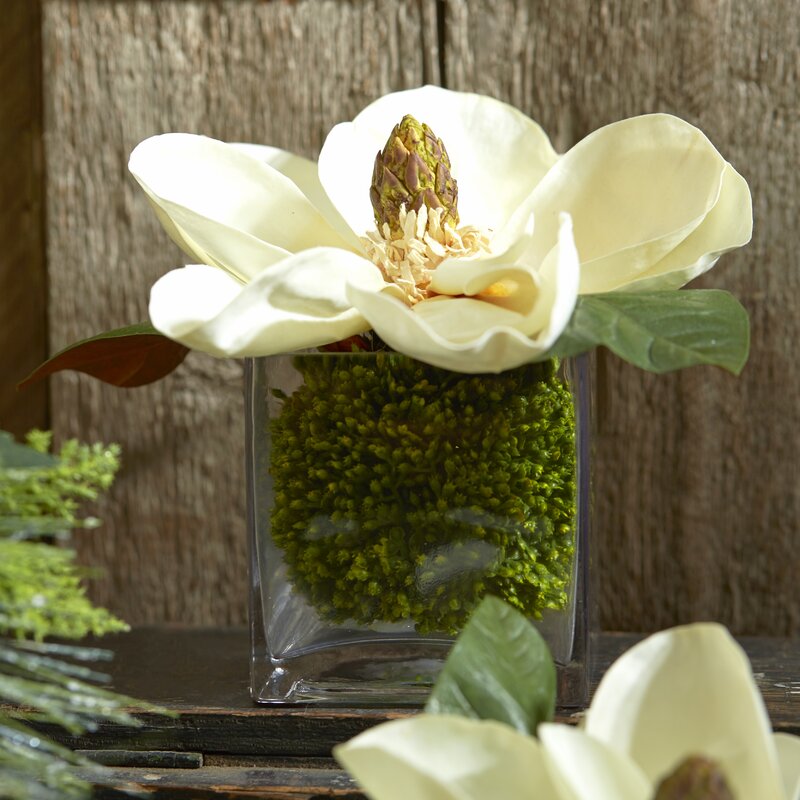 Ivy Bronx Faux Magnolia Centerpiece In Vase Reviews Wayfair