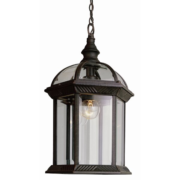 Powell 1-Light Outdoor Hanging Lantern by Laurel Foundry Modern Farmhouse