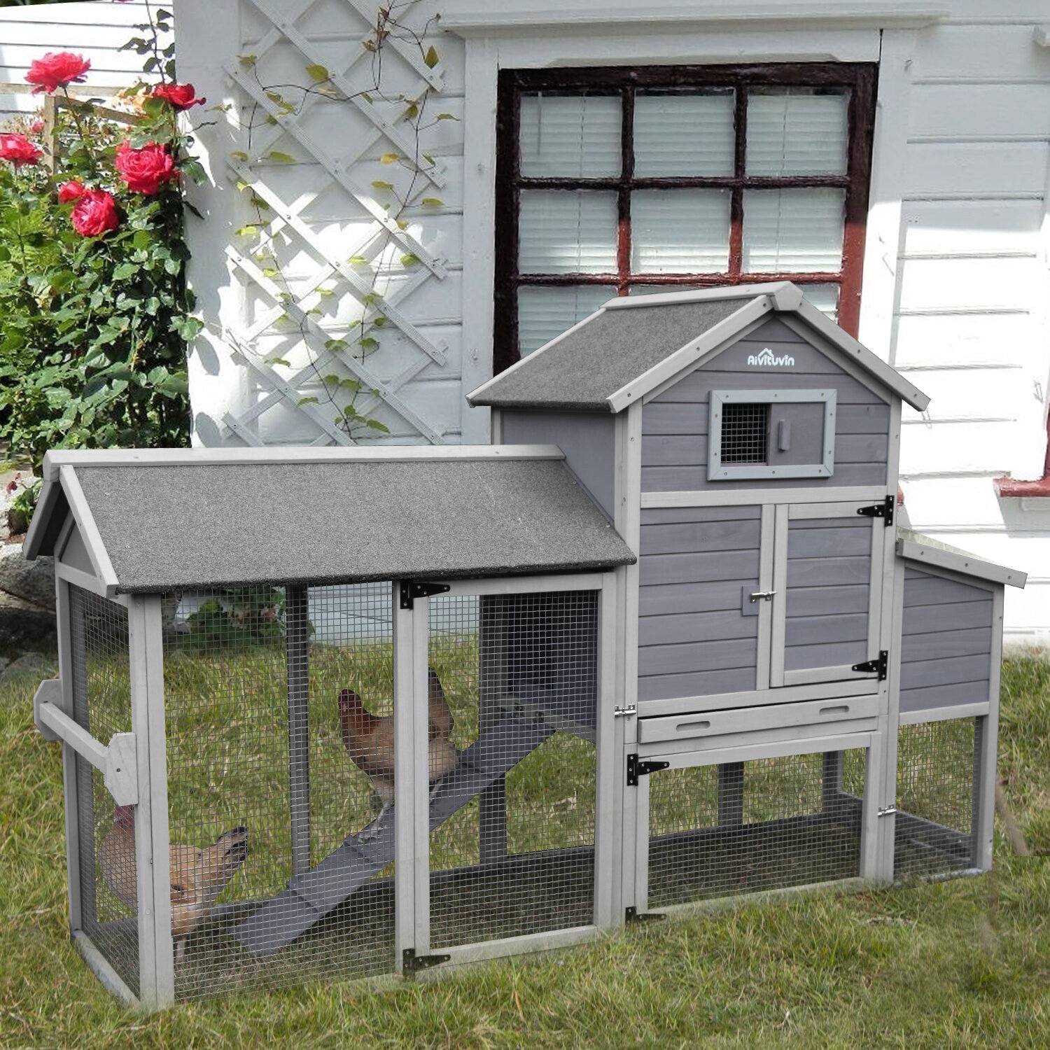 [BIG SALE] Chicken Coops in Every Size You’ll Love In 2020 | Wayfair