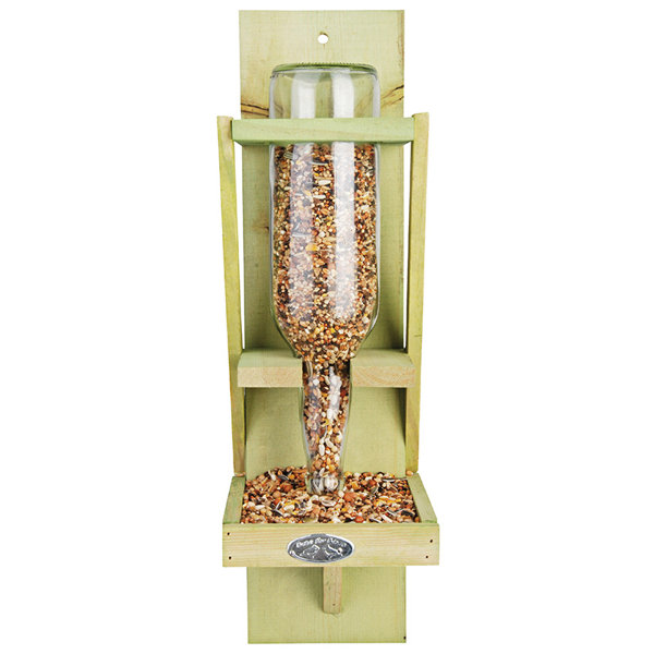 Bottle bird feeder