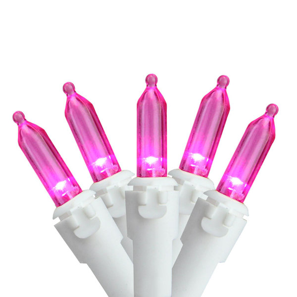 LED Mini Christmas 100 Light String Light with Wire by The Holiday Aisle