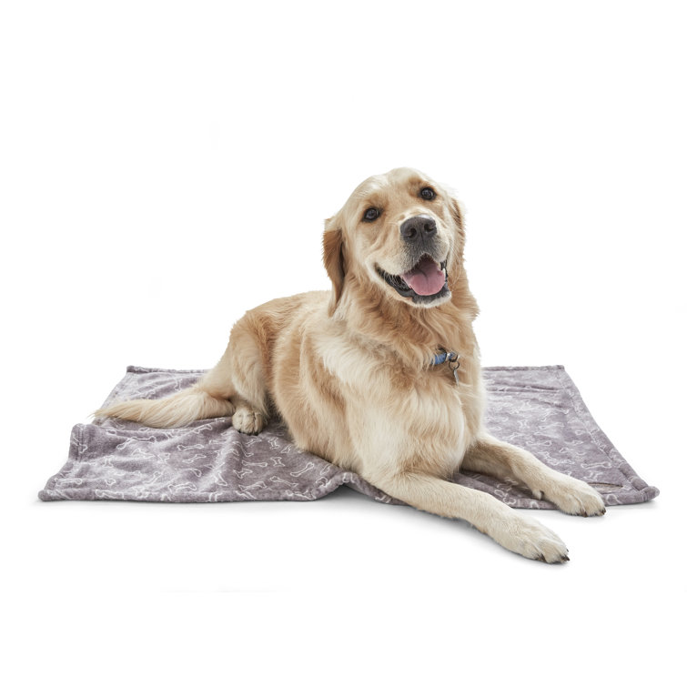 puppy fleece blanket