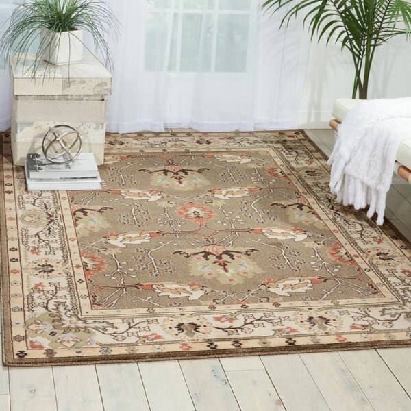 Hester Gray Area Rug by Nourison
