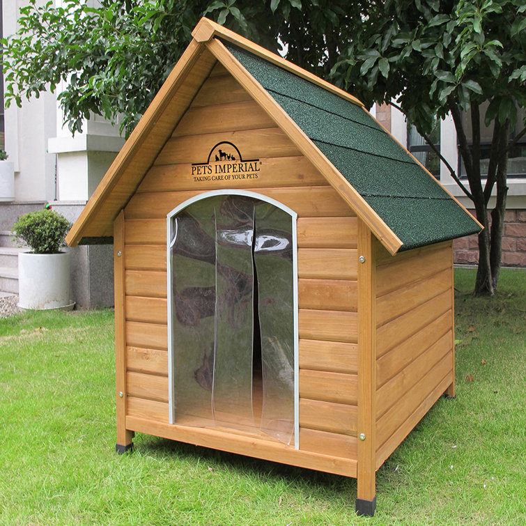 large kennels