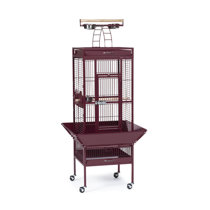 Pink Red Bird Cages You Ll Love In 2021 Wayfair So, please help to rescue the bird from steel cage.you can collect some hidden objects and to solve. pink red bird cages you ll love in