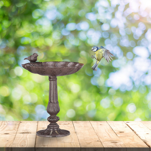 Lanford Bird Bath Sol 72 Outdoor