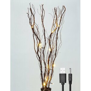 LED 16 Light Natural Willow Branches