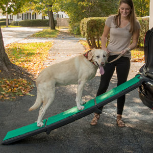 Tri-Fold Travel Lite 26.5