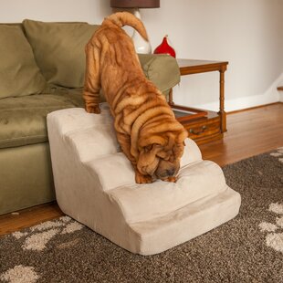 Dog Ramps & Stairs You'll Love 