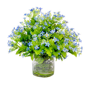 Gypso Curly Willow Water Pot
