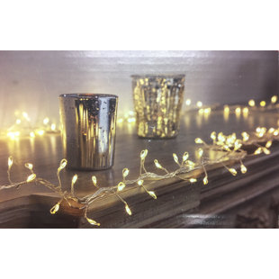Best Fancher Everlasting Glow LED Multi-function 180 Light Fairy String Lights (Set of 2) By Wrought Studio Outdoor Lighting Fancher Everlasting Glow LED Multi-function 180 Light Fairy String Lights (Set of 2) By Wrought Studio Outdoor Lighting