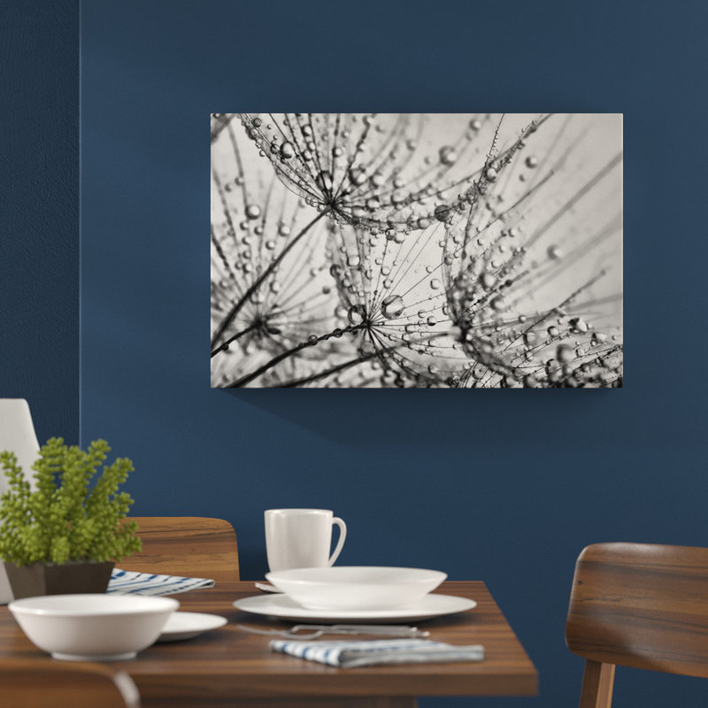 East Urban Home Dandelion Seeds with Dew Wall Art on Canvas Wayfair.co.uk