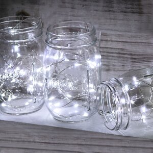 12-Light Fairy String Lights