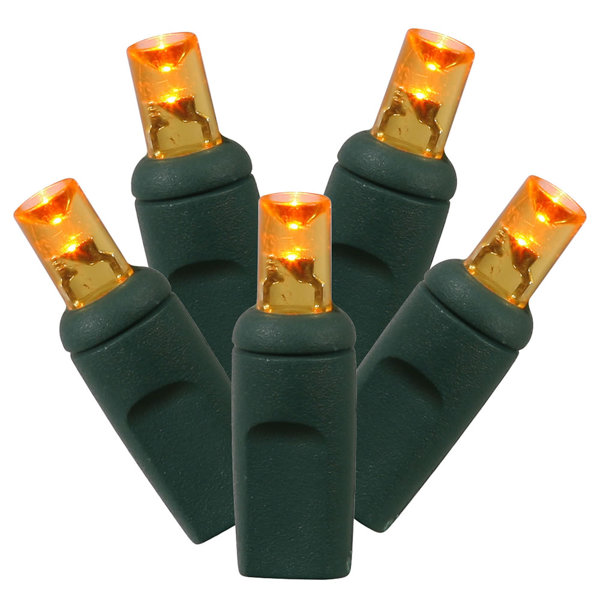 50 Wide Angle Light Set by Vickerman