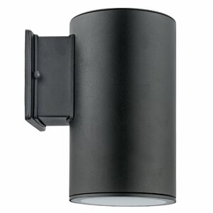 Kaitlyn 1-Light Outdoor Sconce