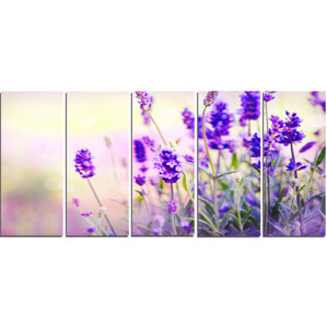 Lavender Wall Art framed lavender wall art | wayfair Lavender Wall Art framed lavender wall art | wayfair