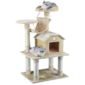 Cat Trees & Cat Furniture You'll Love 