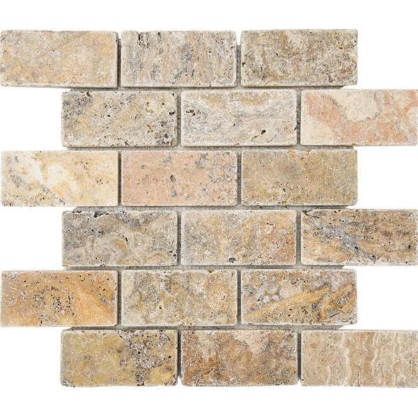 Scabos Tumbled 2 x 4 Stone Mosaic Tile by Parvatile