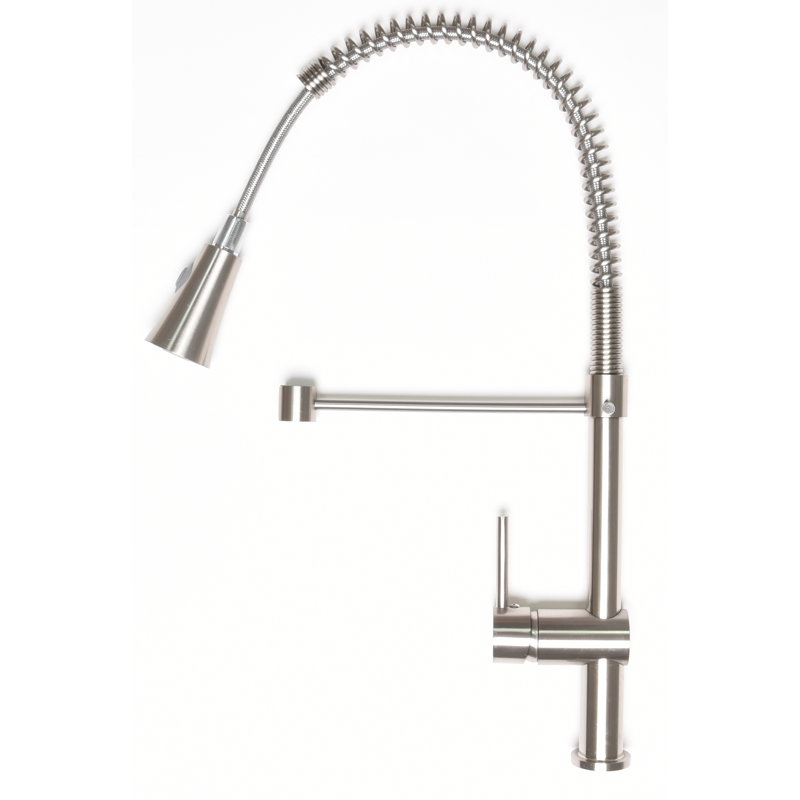 Zenvida Pull Down Single Handle Kitchen Faucet Reviews Wayfair