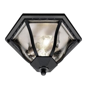 Outdoor 1-Light Flush Mount