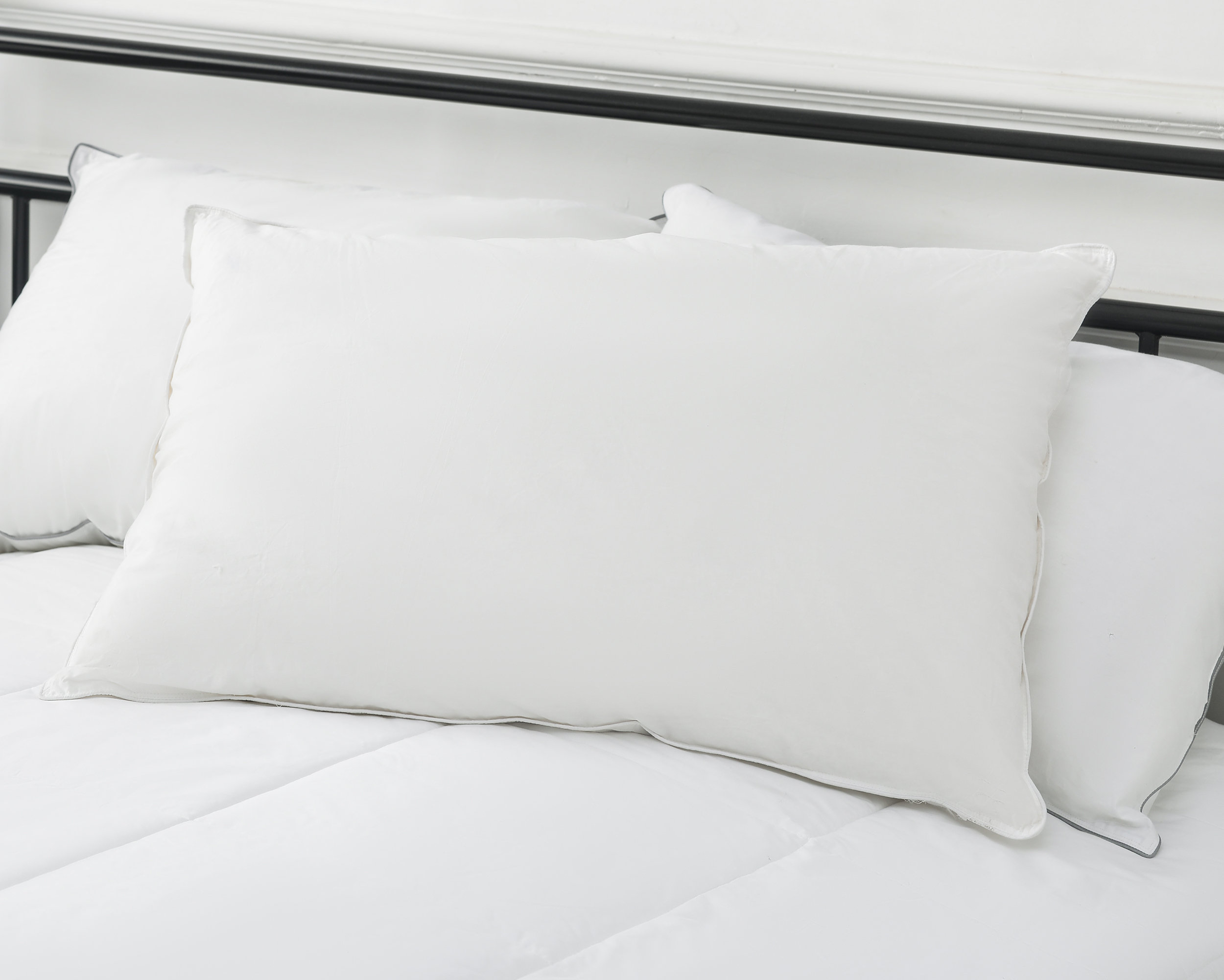 Alwyn Home Tucker Plume Medium Down And Feathers Body Pillow Wayfair
