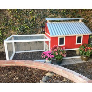 Chicken Coop with Chicken Run